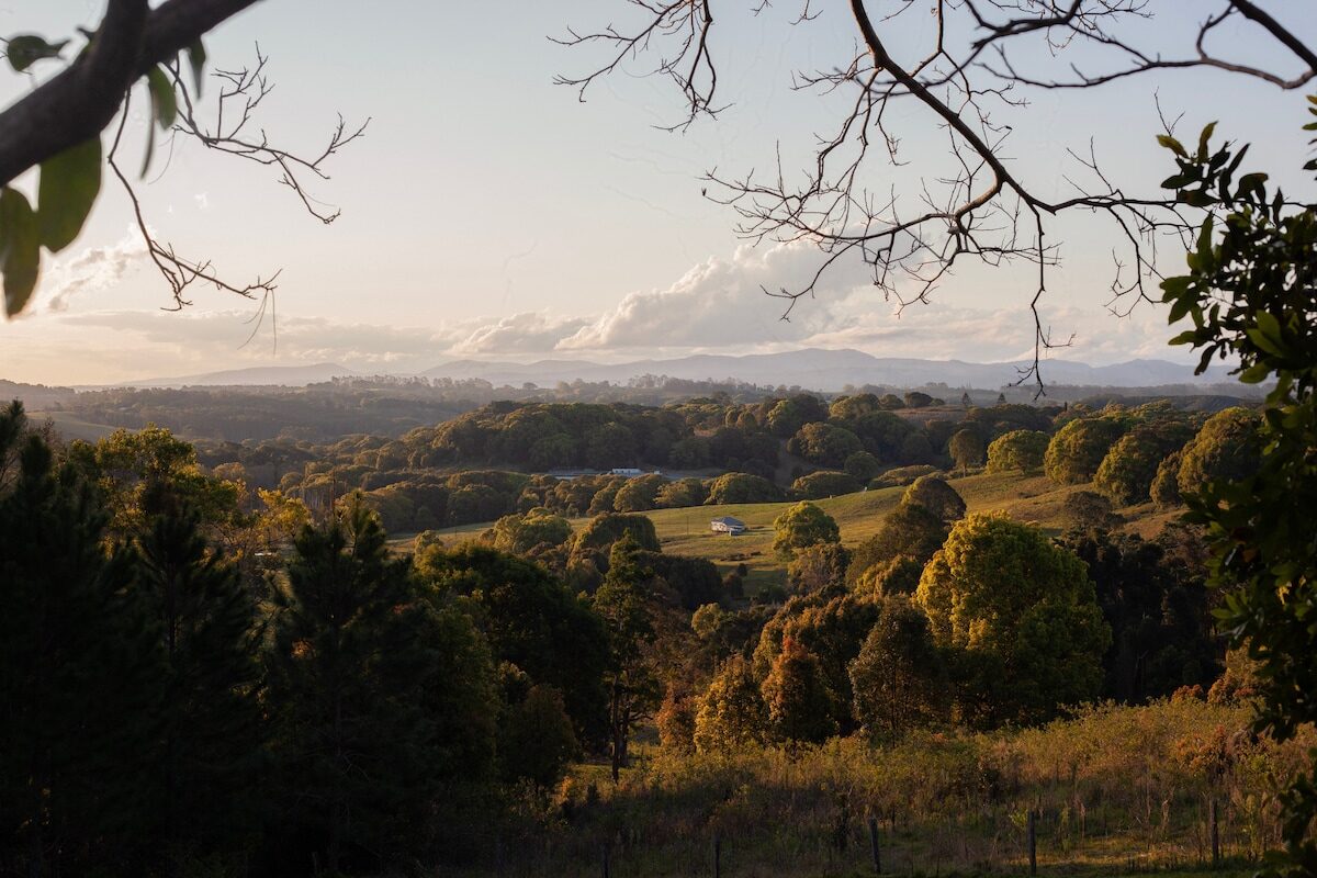 Hinterland valley view at sunset with rolling green hills